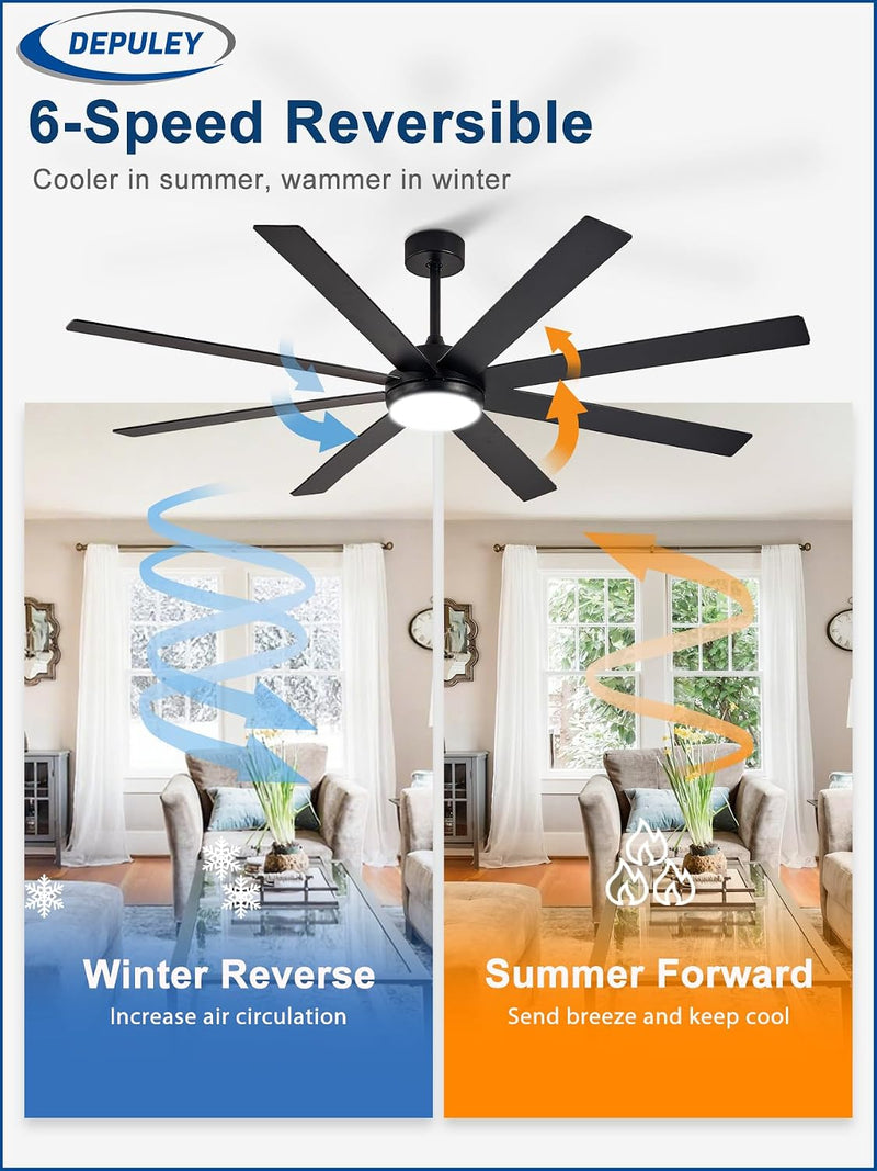 66" Ceiling Fans with Lights: Large