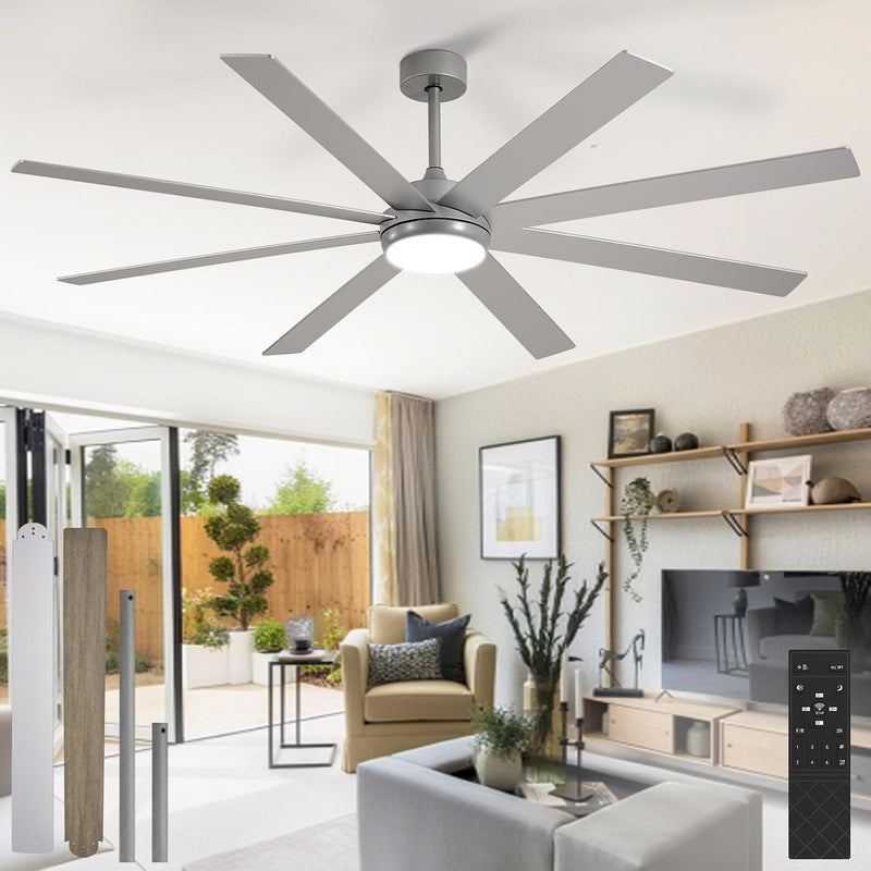 66" Ceiling Fans with Lights: Large