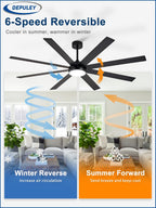 66" Ceiling Fans with Lights: Large
