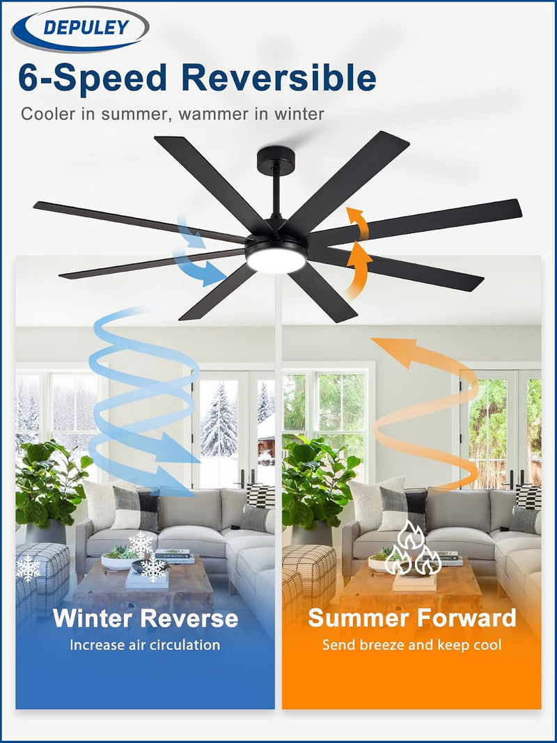66" Ceiling Fans with Lights: Large