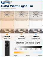 66" Ceiling Fans with Lights: Large