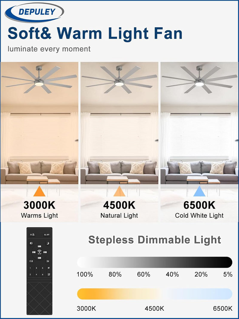 66" Ceiling Fans with Lights: Large