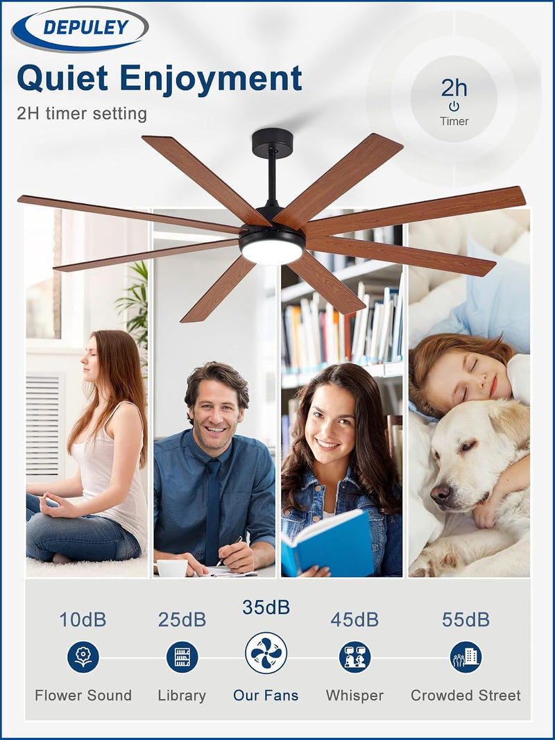 66" Ceiling Fans with Lights: Large