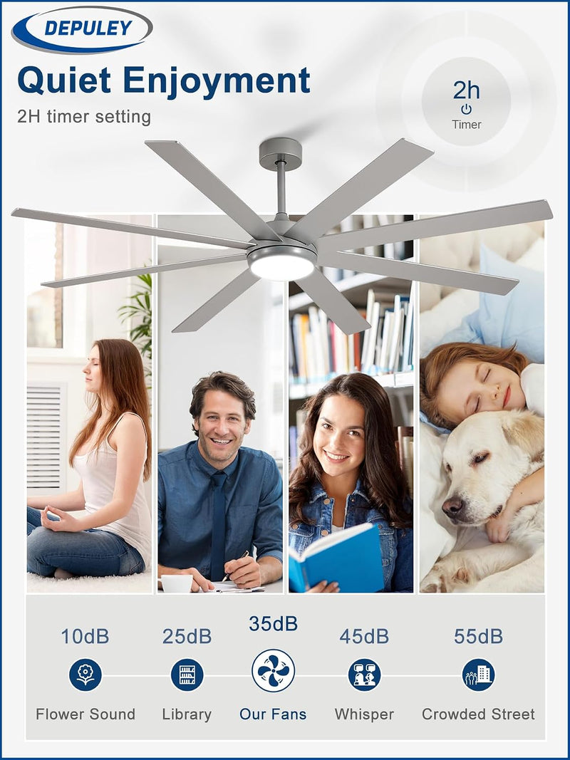 66" Ceiling Fans with Lights: Large