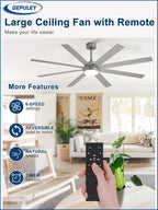 66" Ceiling Fans with Lights: Large
