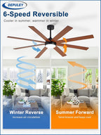 66" Ceiling Fans with Lights: Large