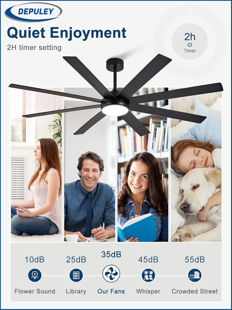 66" Ceiling Fans with Lights: Large