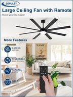 66" Ceiling Fans with Lights: Large