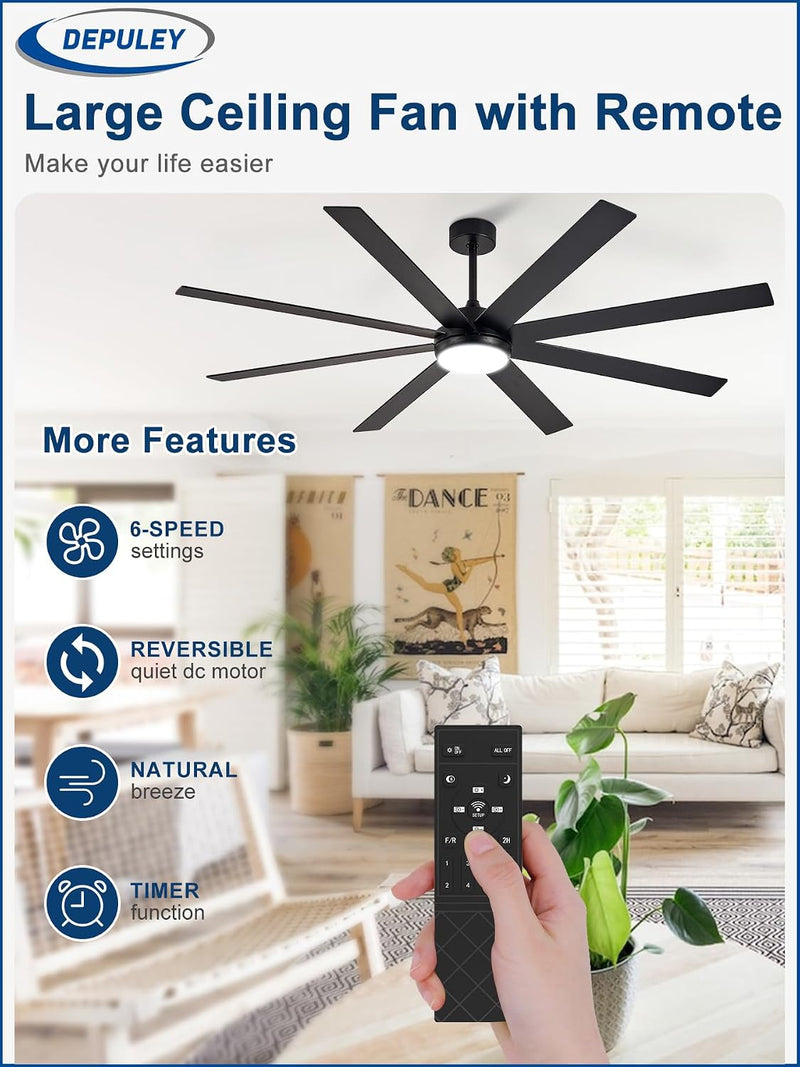 66" Ceiling Fans with Lights: Large