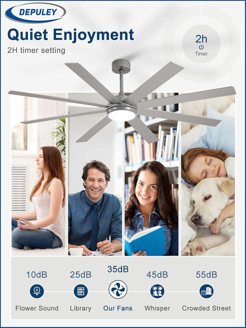66" Ceiling Fans with Lights: Large