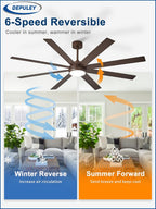66" Ceiling Fans with Lights: Large
