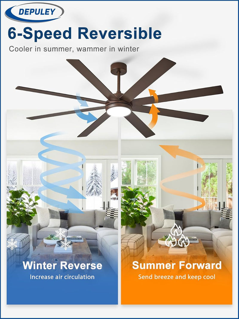66" Ceiling Fans with Lights: Large
