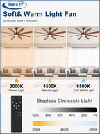 66" Ceiling Fans with Lights: Large