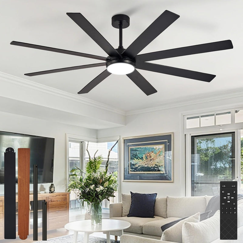 66" Ceiling Fans with Lights: Large