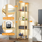 67" Glass Display Shelf with Dimmable LED Floor