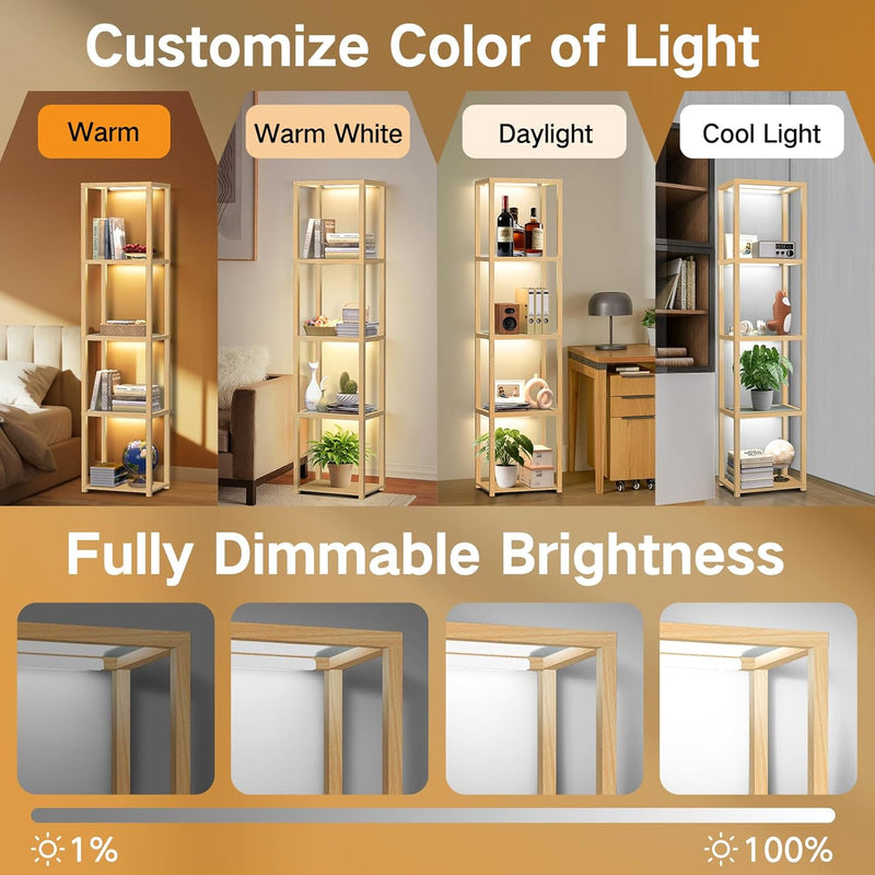 67" Glass Display Shelf with Dimmable LED Floor