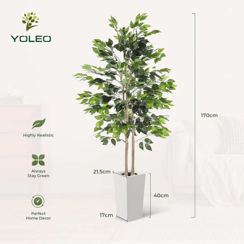 6FT Artificial Dracaena Tree with Tall Pot