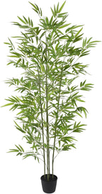 6FT Artificial Dracaena Tree with Tall Pot