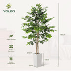 6FT Artificial Dracaena Tree with Tall Pot