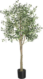 Style 2 | Olive Tree | 1 Pack