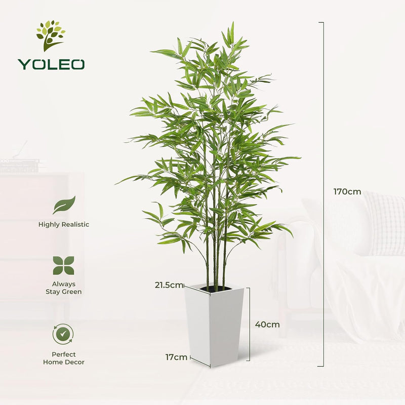 6FT Artificial Dracaena Tree with Tall Pot