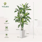 6FT Artificial Dracaena Tree with Tall Pot
