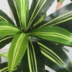 6FT Artificial Dracaena Tree with Tall Pot