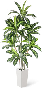 6FT Artificial Dracaena Tree with Tall Pot
