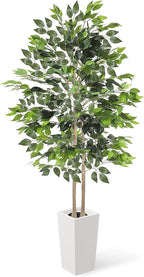 6FT Artificial Dracaena Tree with Tall Pot