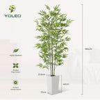 6FT Artificial Dracaena Tree with Tall Pot