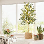 6FT Artificial Dracaena Tree with Tall Pot