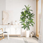 6FT Artificial Dracaena Tree with Tall Pot
