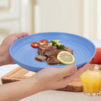 6pcs Unbreakable Dinner Plates Set Plastic Deep Camping