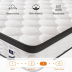 Mattress 10" Firm Hybrid Memory Foam Pocket Spring