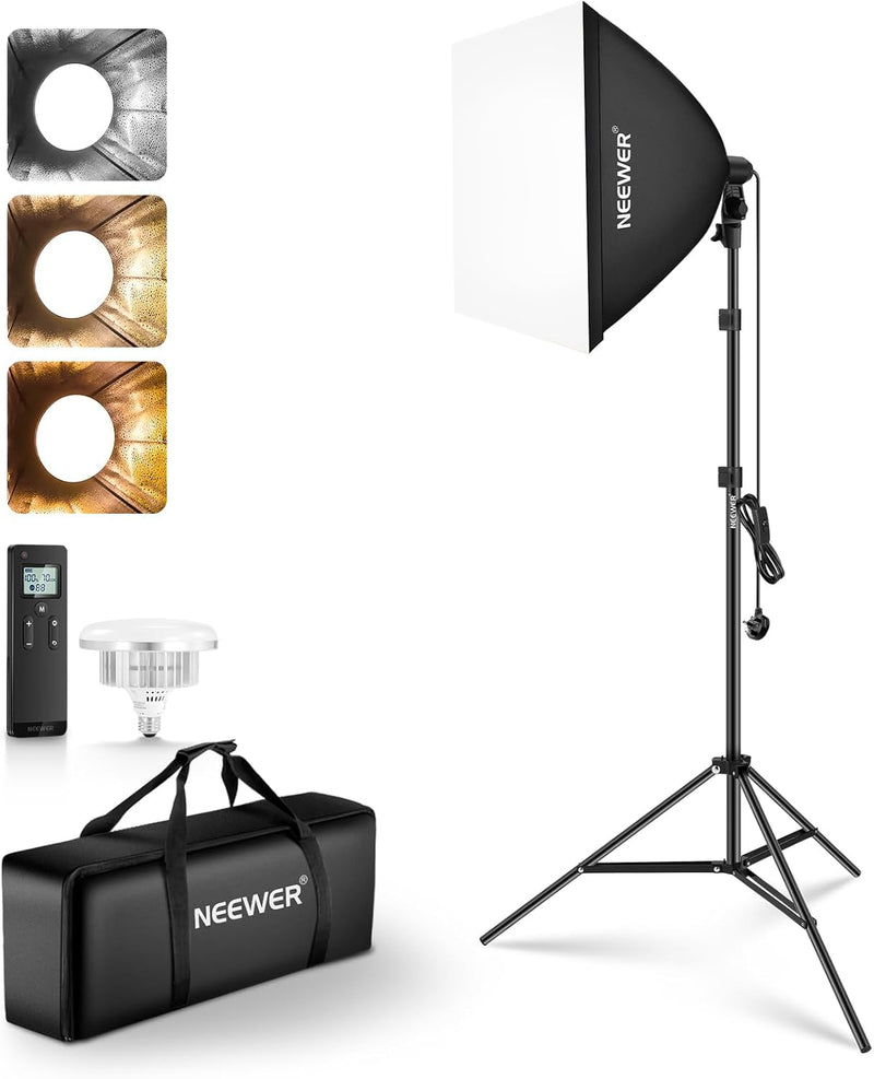 700W Equivalent Softbox Lighting Kit Photo Studio Equipment (2 Pack)