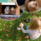 8 Panel Playpen