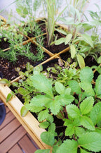 8 Pocket Herb Planter Natural 78x58x80CM
