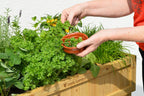 8 Pocket Herb Planter Natural 78x58x80CM