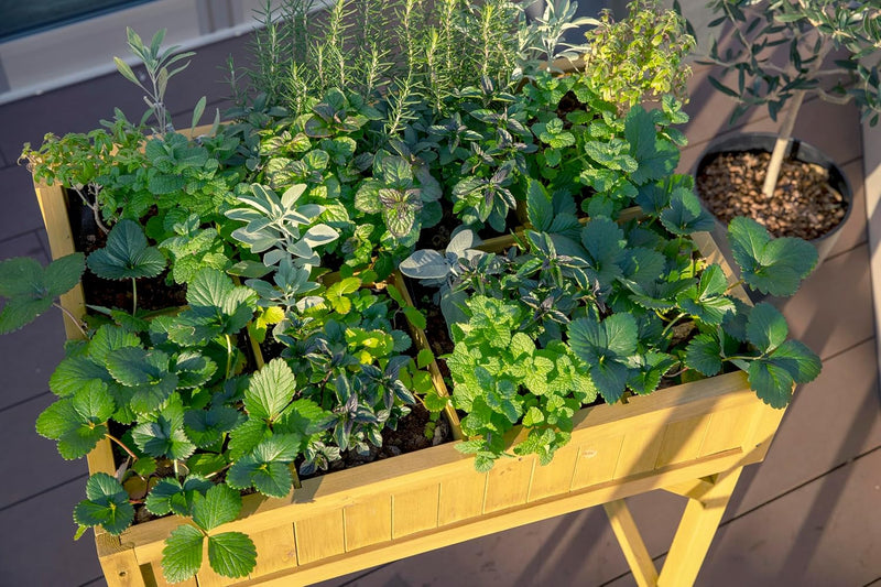 8 Pocket Herb Planter Natural 78x58x80CM