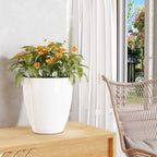 9-Gallon Tall Large Planters