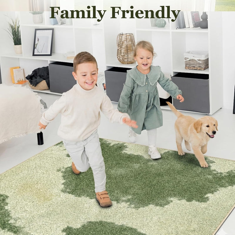 Abstract Rugs for Living Room Machine Washable Area