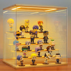 Acrylic Display Case with Light 5 Tier Box