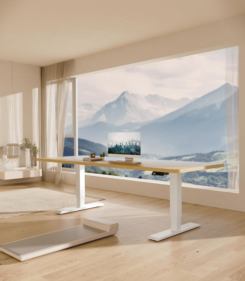 Adjustable Electric Standing Desk Frame Two-Stage
