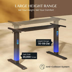 Adjustable Electric Standing Desk Frame with 2 Motors