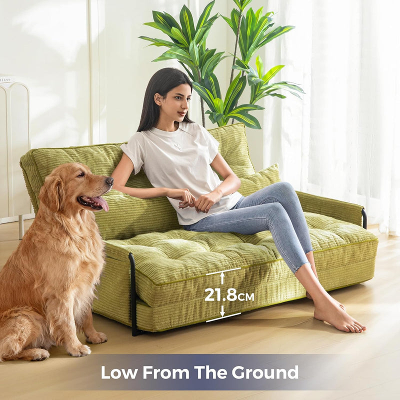 Adjustable Floor Sofa Couch with 2 Pillows Multi-Functional
