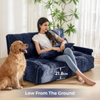 Adjustable Floor Sofa Couch with 2 Pillows Multi-Functional