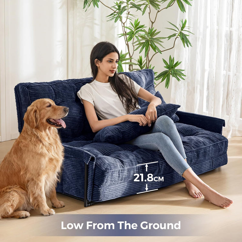 Adjustable Floor Sofa Couch with 2 Pillows Multi-Functional