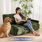 Adjustable Floor Sofa Couch with 2 Pillows Multi-Functional