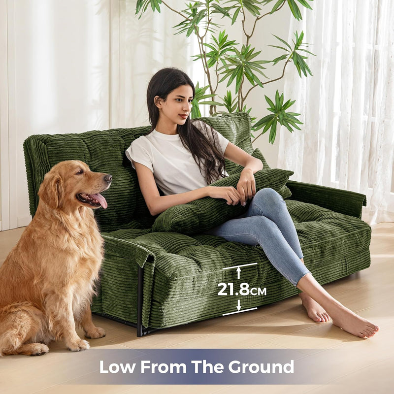 Adjustable Floor Sofa Couch with 2 Pillows Multi-Functional