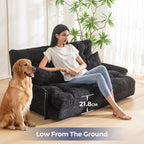 Adjustable Floor Sofa Couch with 2 Pillows Multi-Functional